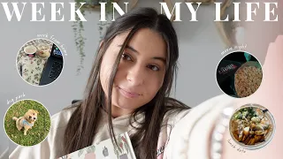 WEEK IN MY LIFE | chatty vlog, unboxing, shopping