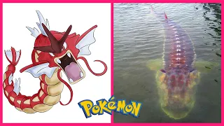 Pokemon Characters  IN REAL LIFE 💥 Part 1 👉@TupViral