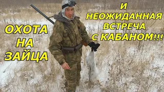 Охота на зайца и кабан the hunting of the hare hog