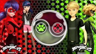 Ladybug and cat noir's amazing new costumes.😀 Miraculous season 6 🦋🦋🦋