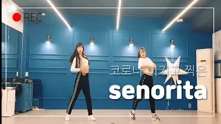 티아라 지연(ji yeon)x배윤정 senorita 세뇨리따 댄스 커버