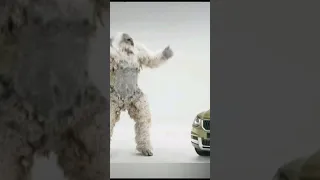 Russian Yeti falls down hill