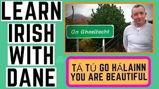 How to say "You are Beautiful" in Irish