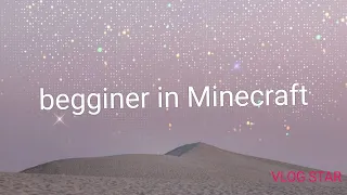 The beginner in Minecraft