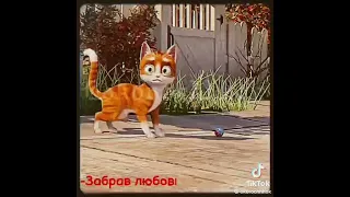 кот, гром и заколдованный дом.