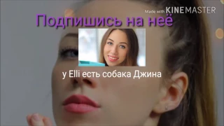 Подпишись на канал Elli Di pets и Elli Di !!!