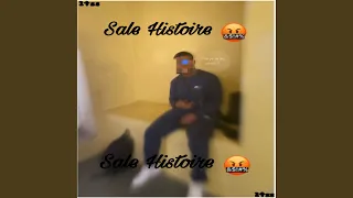 Sale Histoire