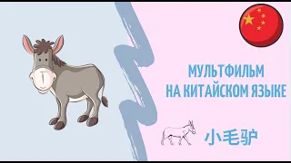 Китайский мультфильм с субтитрами | Китайский язык с нуля с Павловой Ангелиной  | 小毛驴