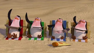 DreamWorks Madagascar | Melhor dos pinguins | Madagascar