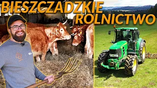 PRACA W BIESZCZADZKIM ROLNICTWIE * hodowla krów * uprawa pól * | DO ROBOTY