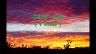 C418 - Cat ( 1 hour )