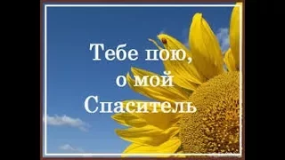 О Тебе пою, Спаситель. Скрипка соло