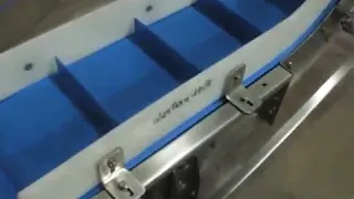 Elevator conveyor manufacturer