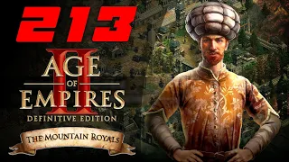 Падший эмир ⚔ Прохождение Age of Empires 2: Definitive Edition #213 [Исмаил]