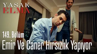 Emir ve Caner hırsızlık yapıyor - Yasak Elma 149. Bölüm