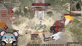 BDO Montage