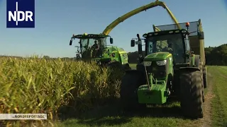 Herbst im Norden: Maisernte unter Hochdruck | die nordreportage | NDR Doku