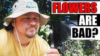 Why Flowers Are Bad - Garden Quickie Episode 158