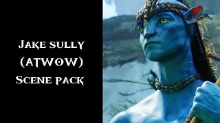 Jake sully - avatar : the way of water scene pack