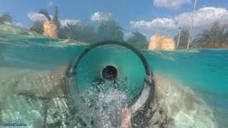 Dolphin Plunge Body Slide Both Slides (HD POVS) Aquatica Seaworld Water Park Orlando