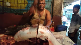 Fish Cutting | Two Big River Yellowtail Catfish Cut Into Chunk By Fishmonger