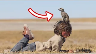 A WILD MEERKAT CRAWLED ONTO OUR BOYS HEAD IN BOTSWANA