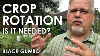 Crop Rotation in a Small Garden - Yes or No? || Black Gumbo