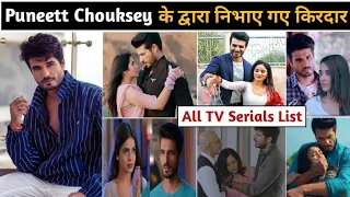 Puneett chouksey serials | puneett chouksey all serials | puneett chouksey new show