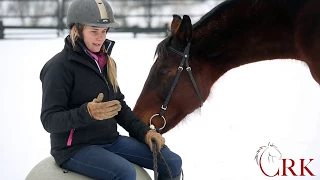 How to Ride the Sitting Trot without Bouncing