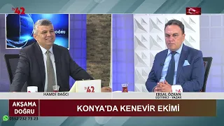 Akşama Doğru - Ersal Özkan / Konya'da Kenevir Ekimi