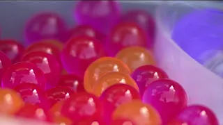 Central Florida police warn about dangerous ‘Orbeez Challenge’ social media trend