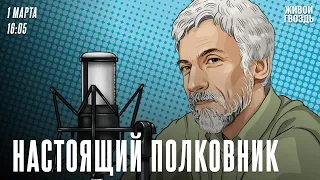 «Бертольт Брехт ненавидит фашизм» / Александр Минкин* / Настоящий полковник / 01.03.24