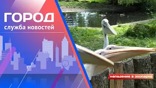 В калининградском зоопарке собаки загрызли редких птиц