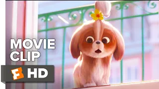 The Secret Life of Pets 2 Movie Clip - Daisy Asks for Help (2019) | Movieclips Coming Soon