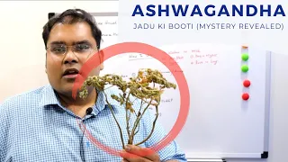 Ashwagandha Correct Use (Hindi) | अश्वगंधा का सही उपयोग
