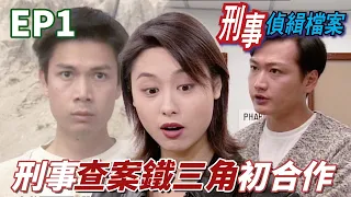 經典刑事偵緝鐵三角初集合！第一件案件就是驚人可怕的分屍案！ ｜刑事偵緝檔案｜陶大宇｜郭可盈｜梁榮忠｜蘇玉華｜林漪娸｜港劇精華