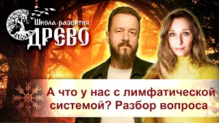 А что у нас с лимфатической системой? Разбор вопроса