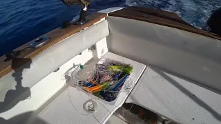 Рыбалка на Мадейре 2