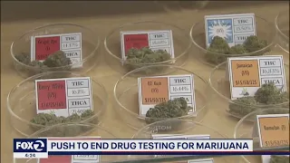 Workplace drug tests for cannabis would be banned by California legislation