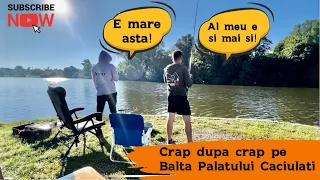 Am prins peste 20 de crapi pe Balta Palatului Caciulati / Pescuit la method feeder