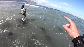 Fishing Republic   Strand Reefs