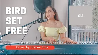 Bird Set Free | SIA | cover by Stacee Fida | Voice of America | Cover Girl |