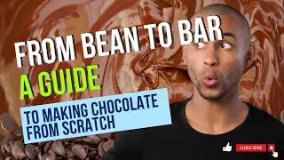 From Bean to Bar: A Guide to Making Chocolate from Scratch | How to Make Chocolates 🍫 Bean to Bar