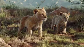 Lion King 2019 - I just can't wait to be king (Romanian) Subs & Trans