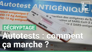 Covid-19 : les autotests, comment ça marche ? La Voix du Nord vous l'explique en 4 minutes