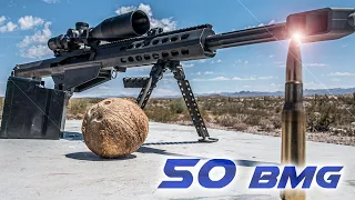 50CAL vs COCONUT - Barrett M82A1 50BMG