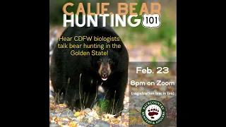 California Bear Hunting 101