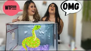 WHAT'S IN THE BOX CHALLENGE (FREAKED OUT)