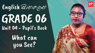 පාඩම 04 - What can you See? (Pupil's Book) English සිංහලෙන් | Grade 06