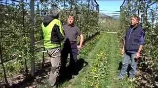 Girovagando con la famiglia Toller, coltivatori di mele a Caldonazzo.